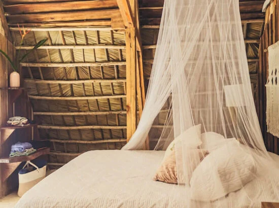 ecolodge-samana-blog