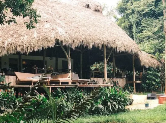 Los mejores hoteles de samana República Dominicana blog