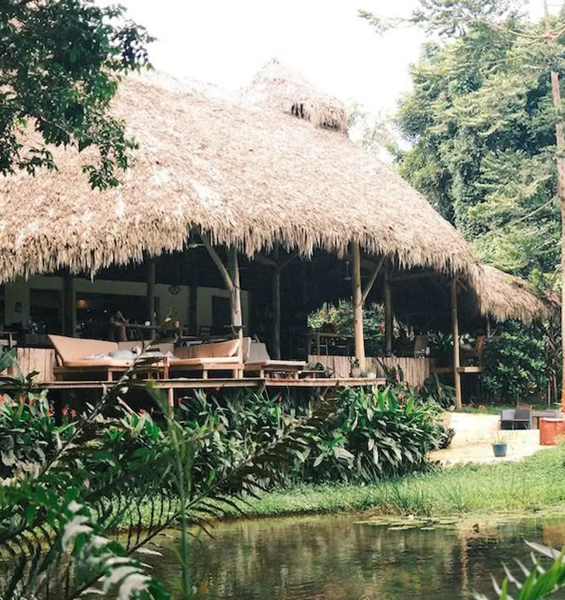 Los mejores hoteles de samana República Dominicana blog