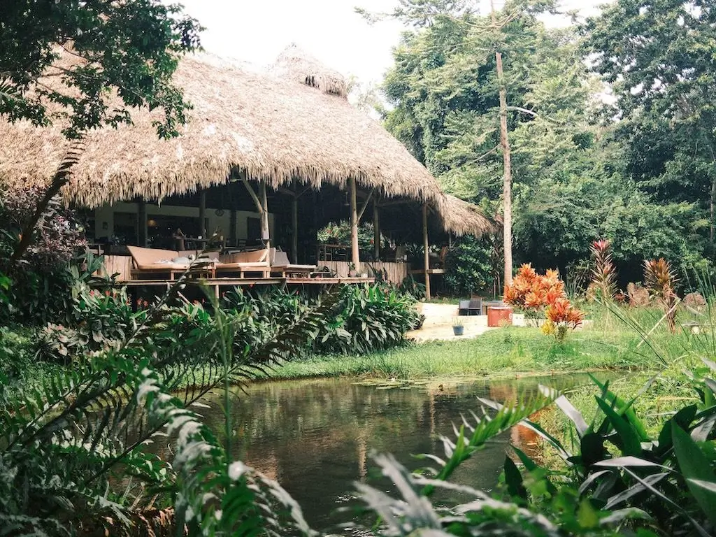 Hoteles de samana republica dominicana