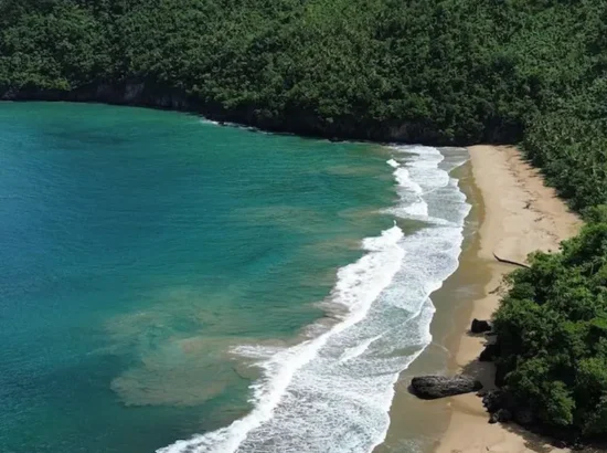 Playa-el-valle-en-samaná-republica-dominicana