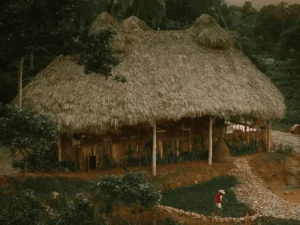 Hotel resort en samana republica dominicana